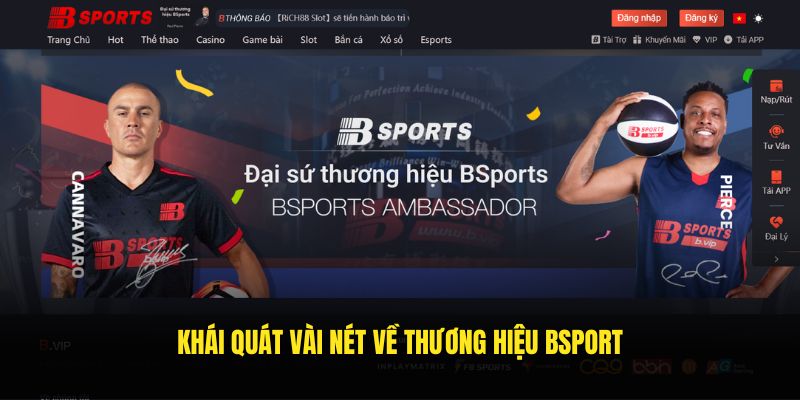 Khái quát vài nét về thương hiệu Bsport