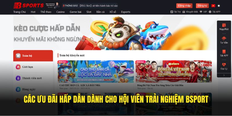 Các ưu đãi hấp dẫn dành cho hội viên trải nghiệm Bsport