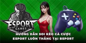 ảnh đại diện cá cược esport