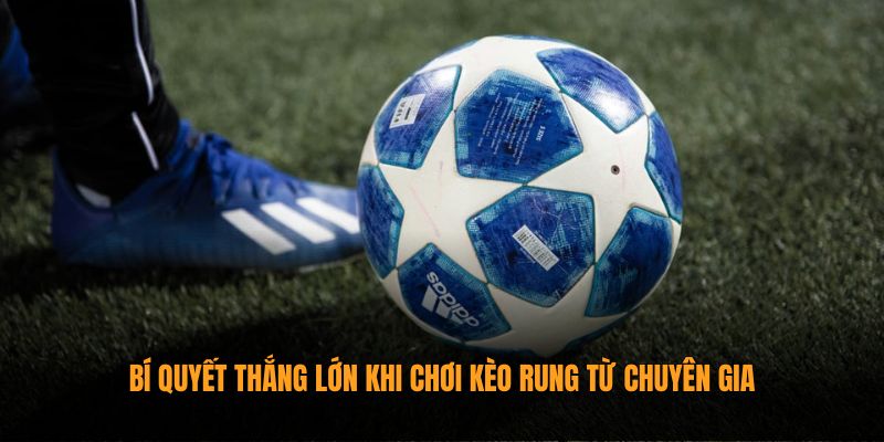 Bí quyết thắng lớn khi chơi kèo rung từ chuyên gia