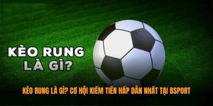 ảnh bìa kèo rung là gì